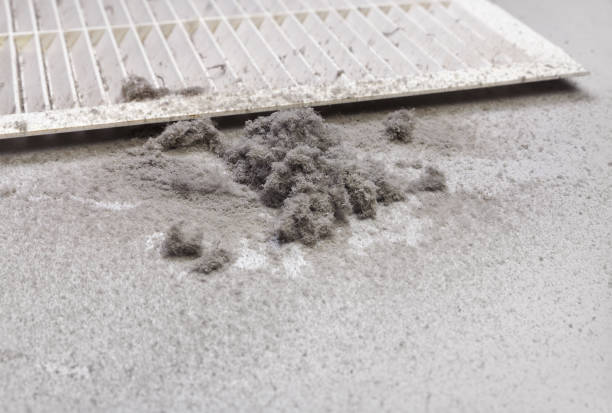 Best Affordable Duct Cleaning Services  in Woodmont, CT